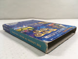 The Legend of Zelda The Wind Waker Nintendo GameCube Japan - DL4145
