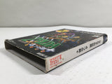 The Legend of Zelda Four Swords Adventures Nintendo GameCube Japan - DL4147