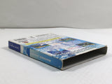 Wave Race Blue Storm Nintendo GameCube Japan - DL4150
