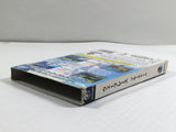Wave Race Blue Storm Nintendo GameCube Japan - DL4150
