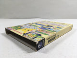 Pokemon Channel Expansion pack Nintendo GameCube Japan - DL4153