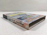 Pokemon Box Ruby and Sapphire Nintendo GameCube Japan - DL4157
