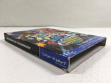Mega Man Network Transmission Rockman EXE Nintendo GameCube Japan - DL4171