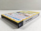 Animal Crossing Doubutsu no Mori e-Plus Nintendo GameCube Japan - DL4173