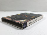 Eternal Darkness Sanity's Requiem Nintendo GameCube Japan - DL4176