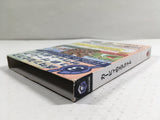 Kirby Air Ride Nintendo GameCube Japan - DL4180