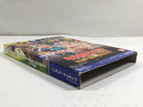 Ultimate Muscle Legends vs. Kinnikuman Nisei Nintendo GameCube Japan - DL4181