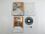 Shaman King Soul Fight Nintendo GameCube Japan - DL4186