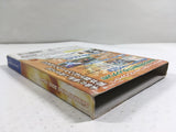 Shaman King Soul Fight Nintendo GameCube Japan - DL4186