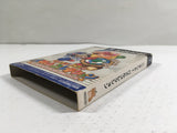 Nintendo Puzzle Collection Nintendo GameCube Japan - DL4194