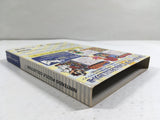 Nintendo Puzzle Collection Nintendo GameCube Japan - DL4194
