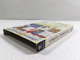 Nintendo Puzzle Collection Nintendo GameCube Japan - DL4194