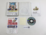 Final Fantasy Crystal Chronicles Nintendo GameCube Japan - DL4195