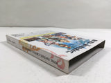 Final Fantasy Crystal Chronicles Nintendo GameCube Japan - DL4195
