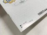 Final Fantasy Crystal Chronicles Nintendo GameCube Japan - DL4195