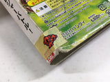 One Piece Treasure Battle! Nintendo GameCube Japan - DL4198