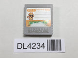 Memory Card for Nintendo Game Cube Nintendo GameCube Japan - DL4234