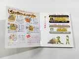 The Legend Of Zelda 2 Boxed Nintendo Famicom Disk Japan - DL4330