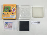 Arliel Crystal Densetsu Boxed SEGA GameGear Japan - DL4466