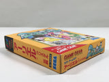 Arliel Crystal Densetsu Boxed SEGA GameGear Japan - DL4466