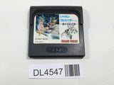 Shadam Crusader Harukanaru Oukoku SEGA GameGear Japan - DL4547
