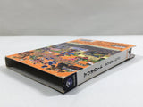 Mario Kart Double Dash Nintendo GameCube Japan - DL4575