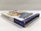 Super Mario Sunshine Nintendo GameCube Japan - DL4587