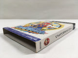 Super Mario Sunshine Nintendo GameCube Japan - DL4588