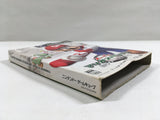 Mario Superstar Baseball Super Mario Stadium Miracle GameCube Japan - DL4590