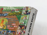Mario Superstar Baseball Super Mario Stadium Miracle GameCube Japan - DL4591