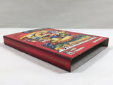 Paper Mario The Thousand Year Door Nintendo GameCube Japan - DL4593