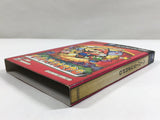 Paper Mario The Thousand Year Door Nintendo GameCube Japan - DL4593