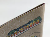 Paper Mario The Thousand Year Door Nintendo GameCube Japan - DL4593