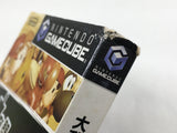 Super Smash Bros. Melee DX Nintendo GameCube Japan - DL4594