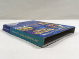 The Legend of Zelda The Wind Waker Nintendo GameCube Japan - DL4602