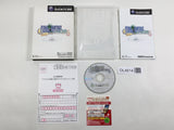 Final Fantasy Crystal Chronicles Nintendo GameCube Japan - DL4614