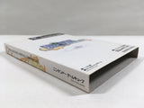 Final Fantasy Crystal Chronicles Nintendo GameCube Japan - DL4614