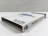 Final Fantasy Crystal Chronicles Nintendo GameCube Japan - DL4614