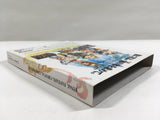 Final Fantasy Crystal Chronicles Nintendo GameCube Japan - DL4614