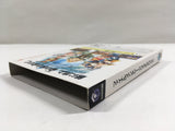 Final Fantasy Crystal Chronicles Nintendo GameCube Japan - DL4614