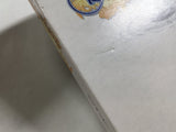 Final Fantasy Crystal Chronicles Nintendo GameCube Japan - DL4615