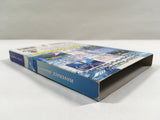 Wave Race Blue Storm Nintendo GameCube Japan - DL4626