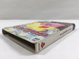 Kirby Air Ride Nintendo GameCube Japan - DL4628