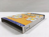 Pikmin Nintendo GameCube Japan - DL4632