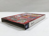 Lost Kingdoms Rune Nintendo GameCube Japan - DL4636
