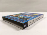 Lost Kingdoms II RUNE II Koruten no Kagi no Himitsu GameCube Japan - DL4637