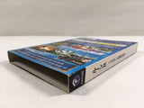Lost Kingdoms II RUNE II Koruten no Kagi no Himitsu GameCube Japan - DL4638