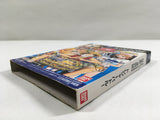 One Piece Treasure Battle! Nintendo GameCube Japan - DL4650