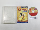 Disney's Magical Mirror Starring Mickey Mouse Nintendo GameCube Japan - DL4685