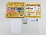 New Super Mario Bros 2 Boxed Nintendo 3DS Japan - DL4717